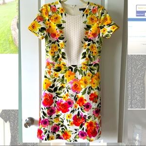 Maggy London Petite Dress